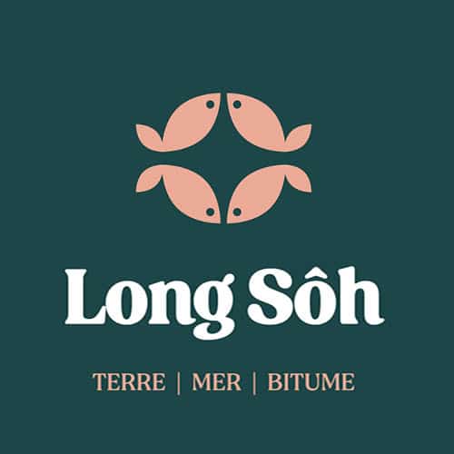 logo-pub-long-soh-500x500