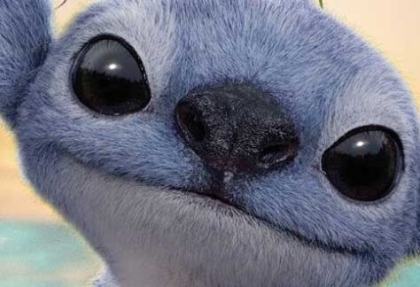 Cinéma en famille : Lilo et Stitch | Programmation Loisirs & culture - A25