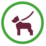 icone : Les chiens doivent être tenus en laisse en tout temps.
