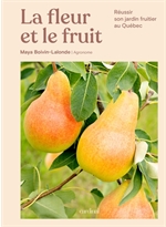 vignette-juillet-7
