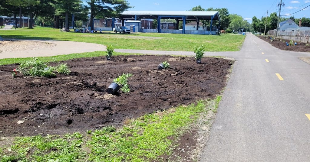 Budget participatif 2023 – Photos plantation projet Arbres fruitiers