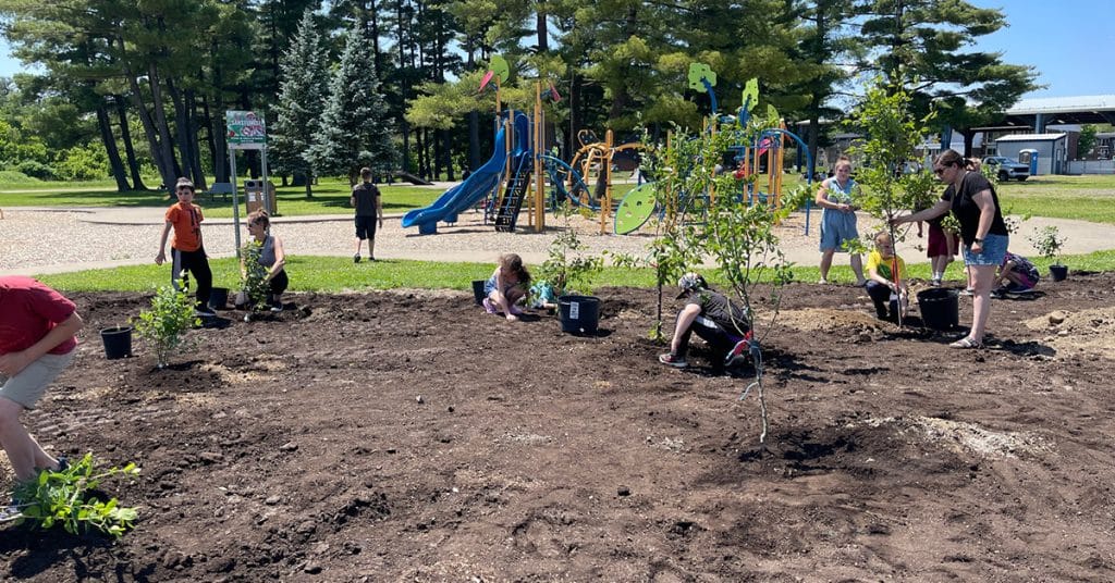 Budget participatif 2023 – Photos plantation projet Arbres fruitiers