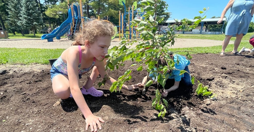 Budget participatif 2023 – Photos plantation projet Arbres fruitiers